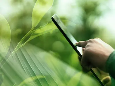 hide and grow – Landingpage