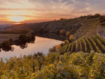 WGSZ – Shop-Erstellung